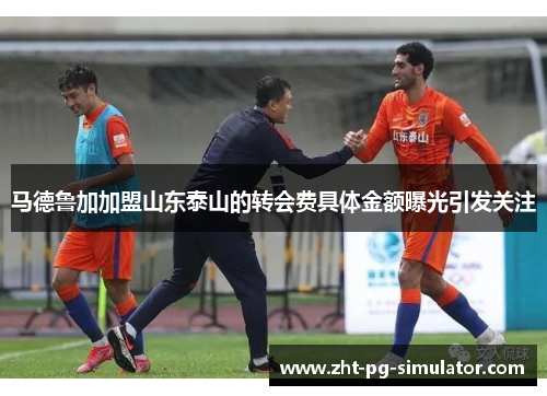 马德鲁加加盟山东泰山的转会费具体金额曝光引发关注